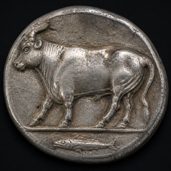 Sybaris Bull Stater
