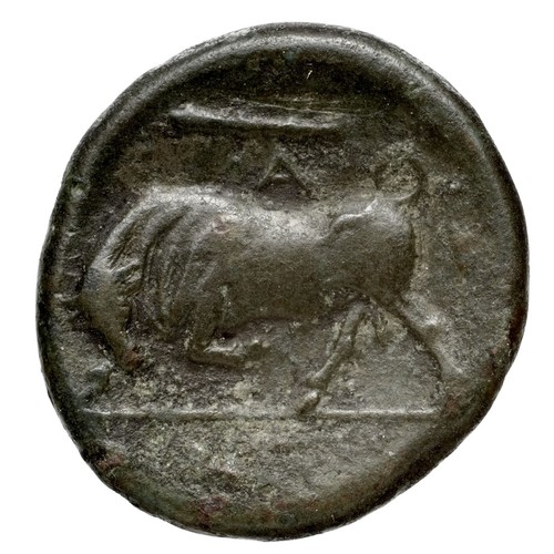 How to Identify the Syracuse Bronze Coin of Hiero II