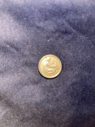 Unknown (Possibly a Charm, Token or Amulet)