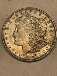 Morgan Silver Dollar
