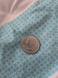 Nevada State Quarter
