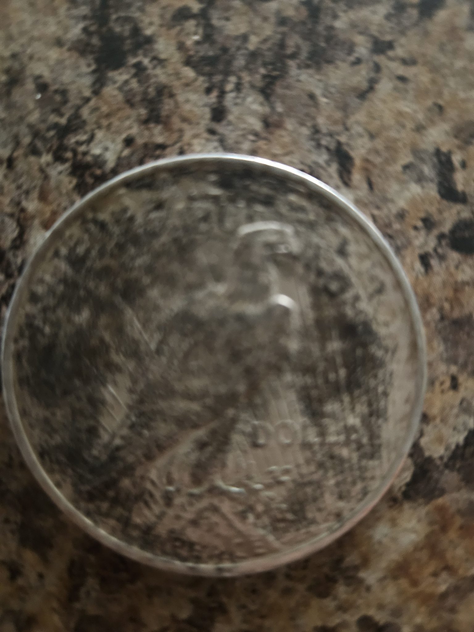 Peace Silver Dollar — reverse