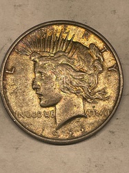 Peace Silver Dollar