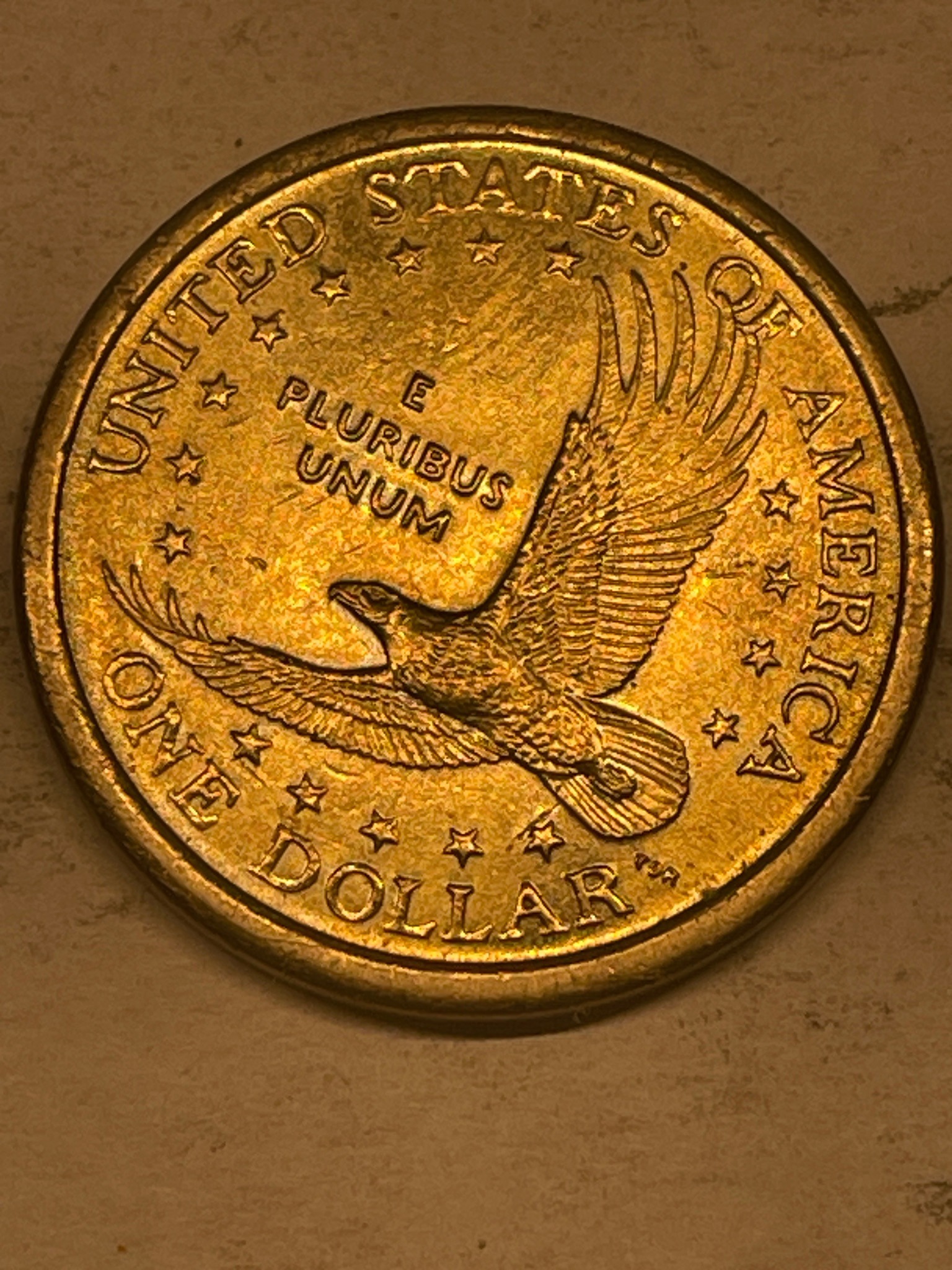 Sacagawea Golden Dollar — reverse