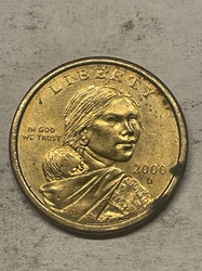 Sacagawea Golden Dollar